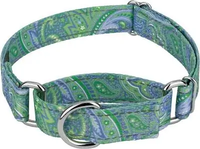 Country Brook Petz - Green Paisley Dog Collar