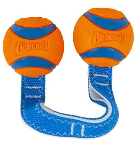 Chuckit! Robustes Hundespielzeug Ultra Duo Tug