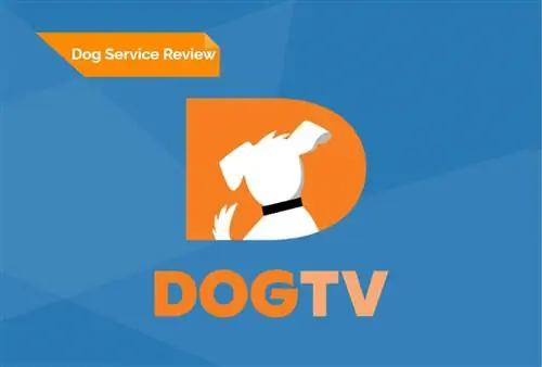 DOGTV ülevaade 2023: meie eksperdi arvamus selle väärtuse kohta