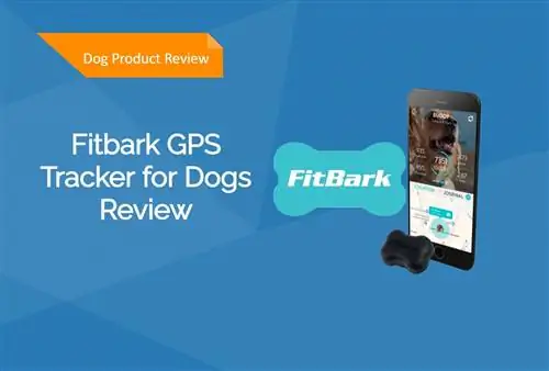 Fitbark Dog GPS Tracker apžvalga 2023 m.: ar tai gera vertė?