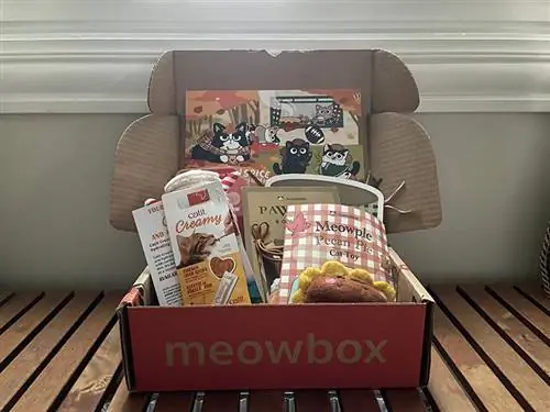 Contenuto della confezione dell'abbonamento a meowbox