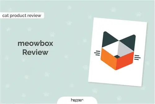 Recenzia odberu meowboxu 2023: Názor nášho odborníka