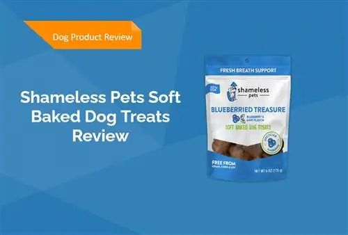 Shameless Pets Soft Baked Dog Treats بررسی 2023: نظر متخصص ما