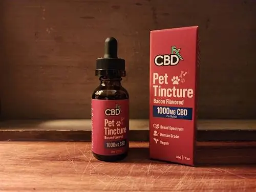 cbd fx cồn thuốc thú cưng