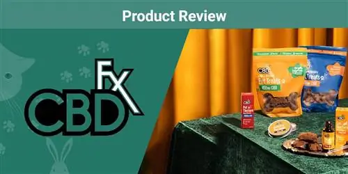 CBDfx koirille & Pets Review 2023: Asiantuntijamme lausunto