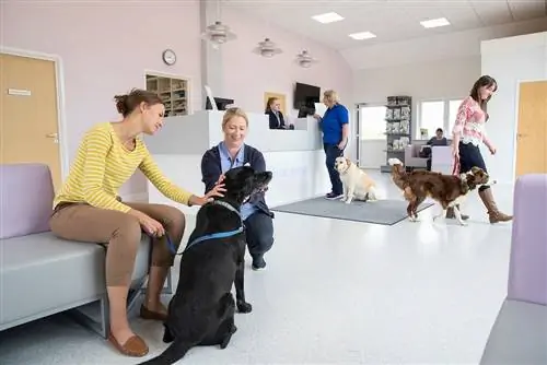 Hondeneigenaar met verpleegster bij de receptie van de wachtkamer van de dierenarts