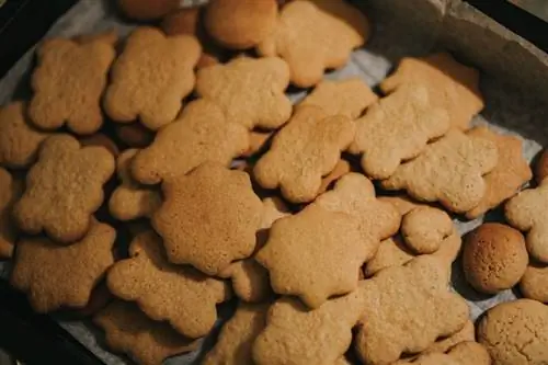 Kan katter äta pepparkakor? Vad du behöver veta