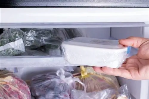 menyimpan makanan di dalam freezer