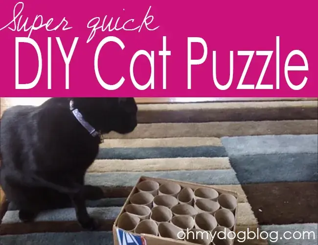 DIY Super Quick Puzzle Slow Feeder- Oh my dog blog