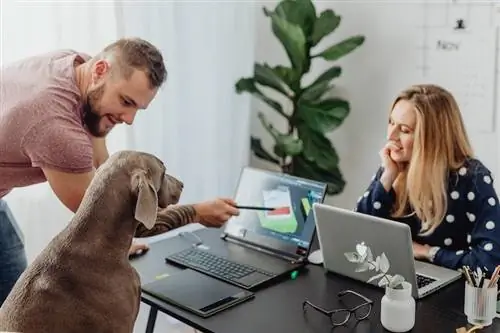 mujer y un hombre presentando la imagen en una pantalla de computadora portátil a un perro