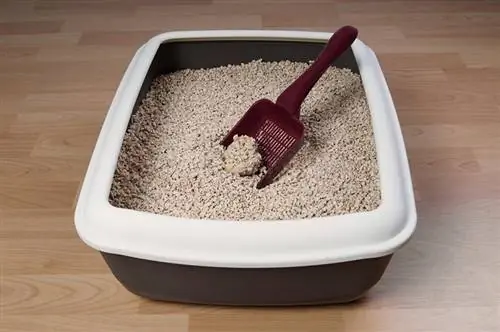 caja de arena para gatos con astillas de madera de pino biodegradables