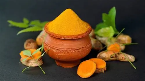 የእንጨት ኩባያ ውስጥ turmeric