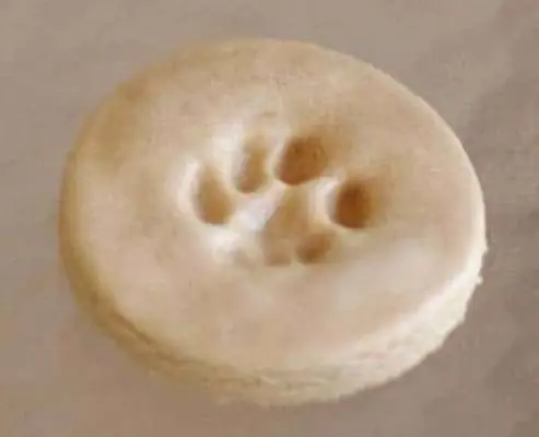 تذكار DIY Cat Paw Print