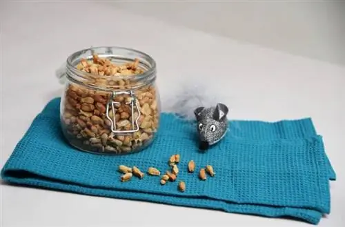 DIY zelfgemaakte kattensnoepjes