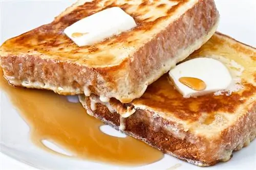 Dürfen Hunde French Toast essen? Vet Reviewed Facts & FAQ