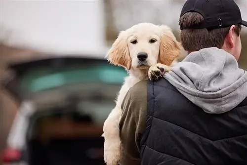 homem roubando cachorro