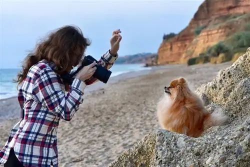 donna che fotografa il suo cane