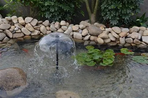 ECO-WORTHY Solar Fountain -vesipumppusarjan todellinen käyttö