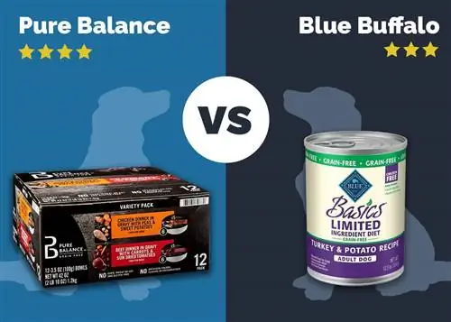 Pure Balance vs Blue Buffalo koeratoit: 2023. aasta võrdlus