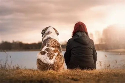 emocionálna podpora priateľa