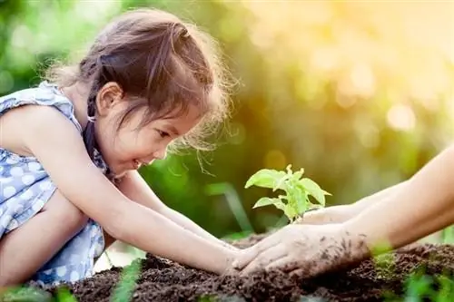 giovane ragazza che pianta nel giardino