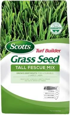 Hạt giống cỏ Scotts Turf Builder