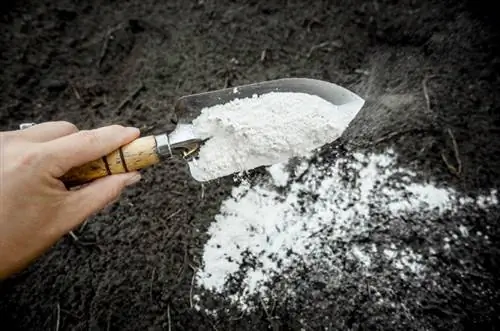 mezclar polvo de piedra caliza con tierra de jardín