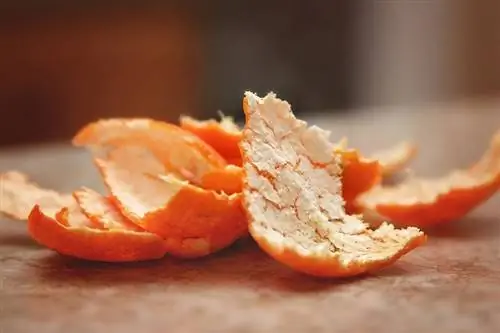 épluchure d'orange