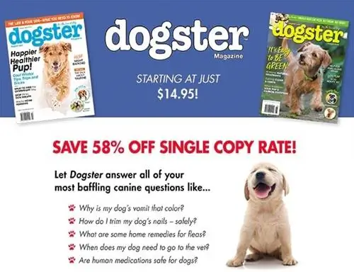 Dogster-LDADS04-redblue-022819