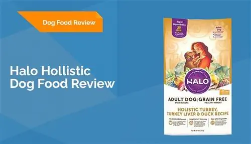 Halo Holistic Dog Food Review 2023: استدعاء ، إيجابيات & سلبيات