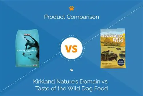 Kikoa cha Kirkland Nature dhidi ya Taste of the Wild Dog Food: 2023 Comparison