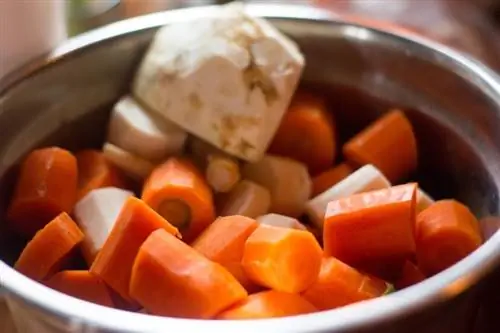 brodo di pollo e carote