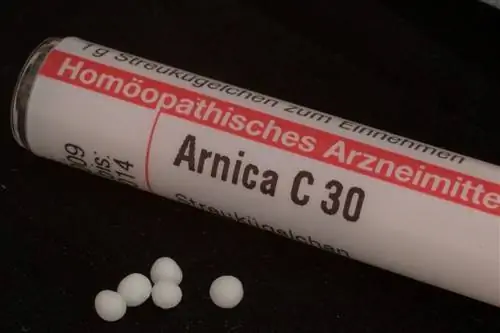 arnica