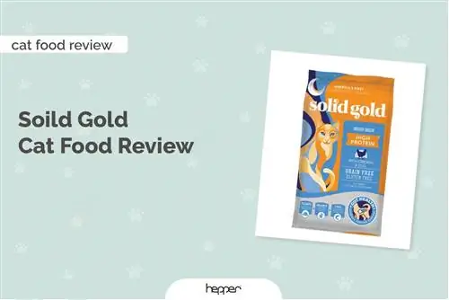 Solid Gold Cat Food Review 2023. Հիշում է, կողմ & Դեմ