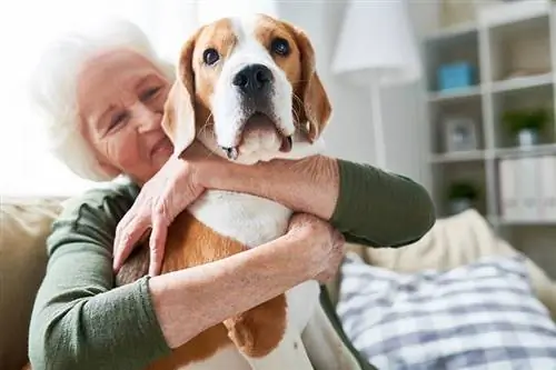 Kıdemli kadın evcil köpeğe sarılıyor