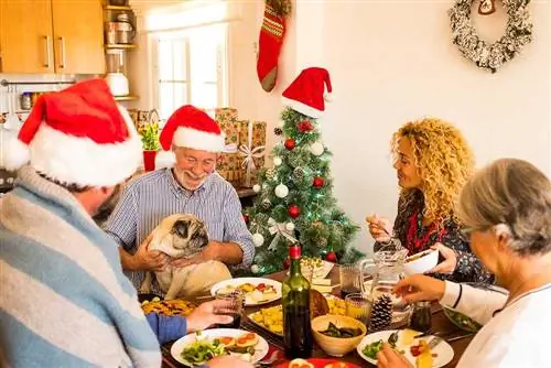 Groep van vier mensen genieten van de eerste kerstdag en lunchen samen thuis met een mopshond zittend op een oude man