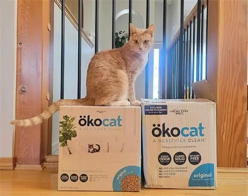 գիհի, որը ցույց է տալիս ökocat® օրիգինալ փայտյա կատուների աղբի տուփեր