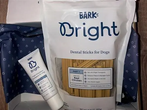 bark ljusa dental tuggar och trippel-enzymatisk tandkräm