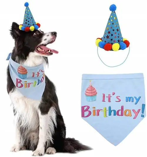 PUPTECK Dog Birthday Bandana Scarfs med söt Doggie Birthday Party Hat