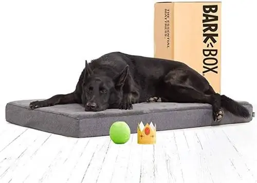 Barkbox Memory Foam voodi