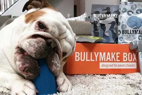 BullyMake'i tellimiskast