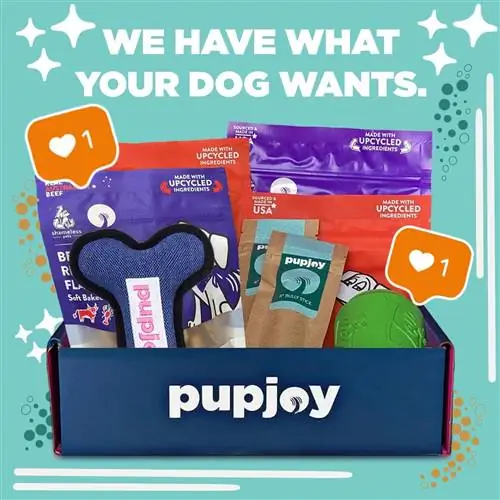 PupJoy Eco-Friendly Goodie Box