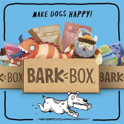 Коробка подписки BarkBox для крупной собаки