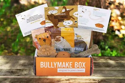 bullymake box