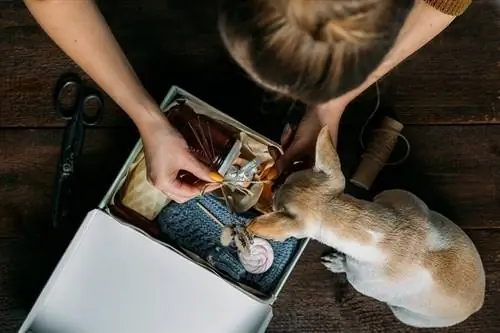 Kotak Penjagaan Anjing