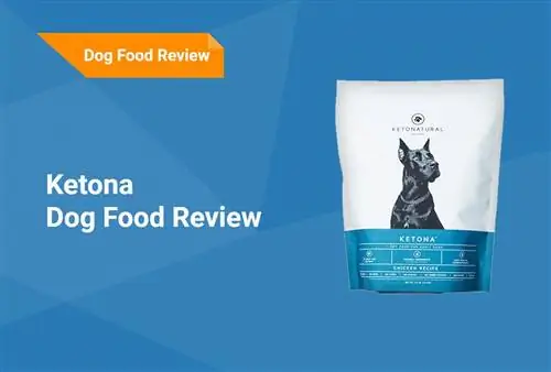 Ketona Dog Food Review 2023: Естеріңізге салады, жақсы жақтары & Кемшіліктері