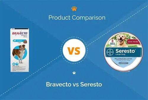 Bravecto vs Seresto: Koji je lijek protiv krpelja protiv buha & bolji?