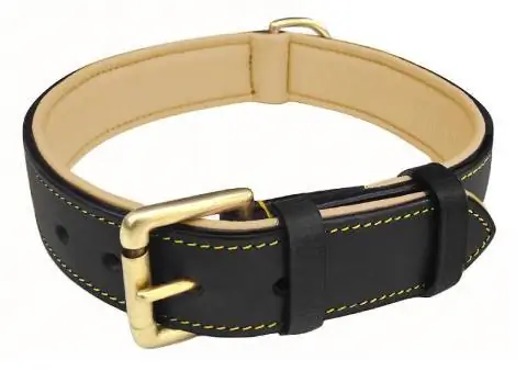 Soft Touch Collars Zweifarbig gepolstertes Hundehalsband aus Leder