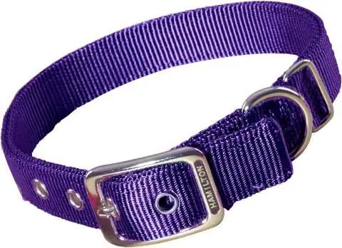 Hamilton dubbele dikke nylon deluxe hondenhalsband