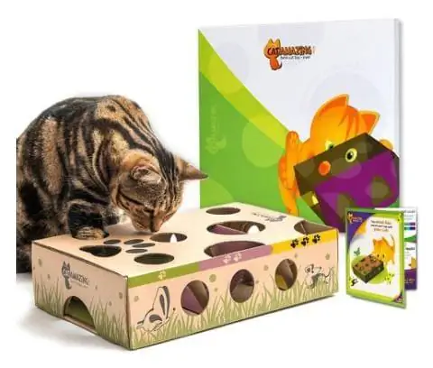 Cat Amazing Interactive Treat Maze & Puzzle Cat Toy